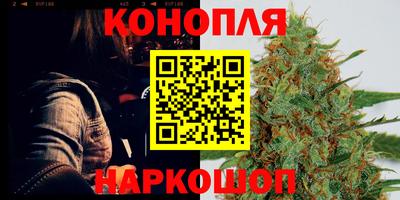 тгк Будённовск