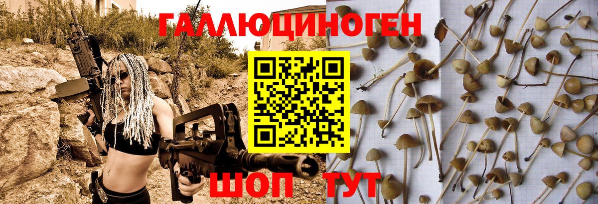 Стрежевой  Галлюциногенные грибы Magic Shrooms  Вход с VPN  Галлюциногенные грибы Psilocybe 